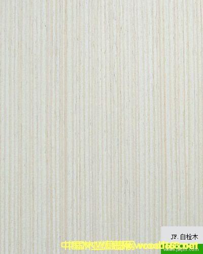 ��˨ľ��Ԕ����B