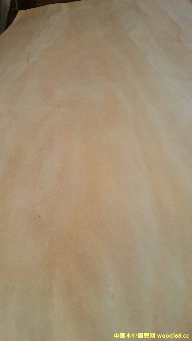 �W����ľƤ��Ԕ����B