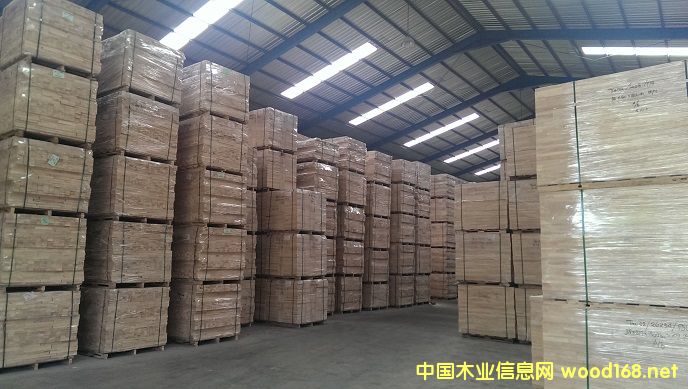 ���zľ���ݲ������l