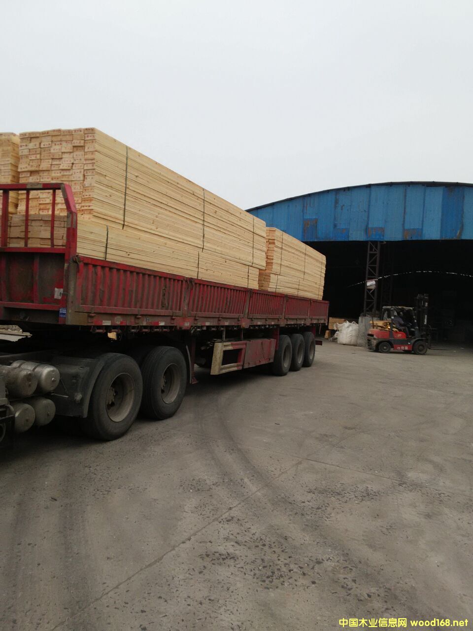 ���S����