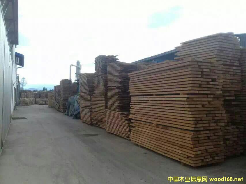 ��ľ�R߅��