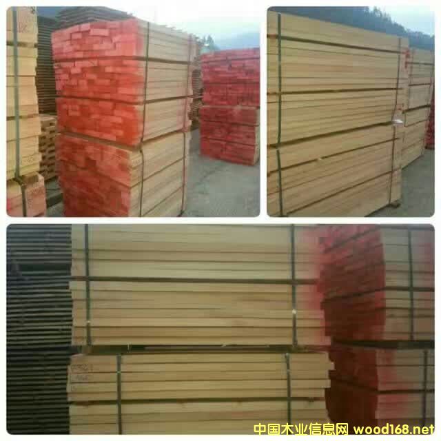 ��ľ�R߅��