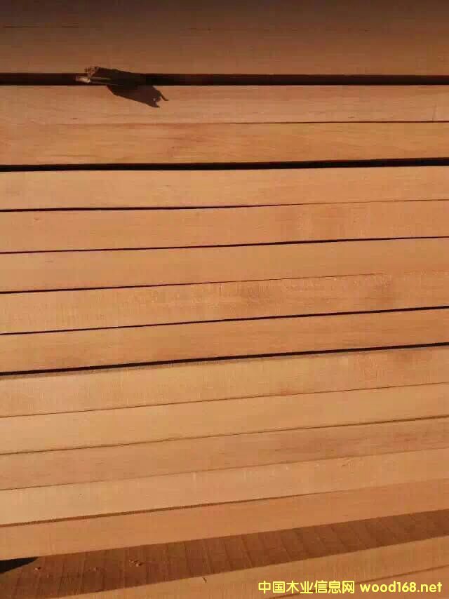 ��ľ�R߅��