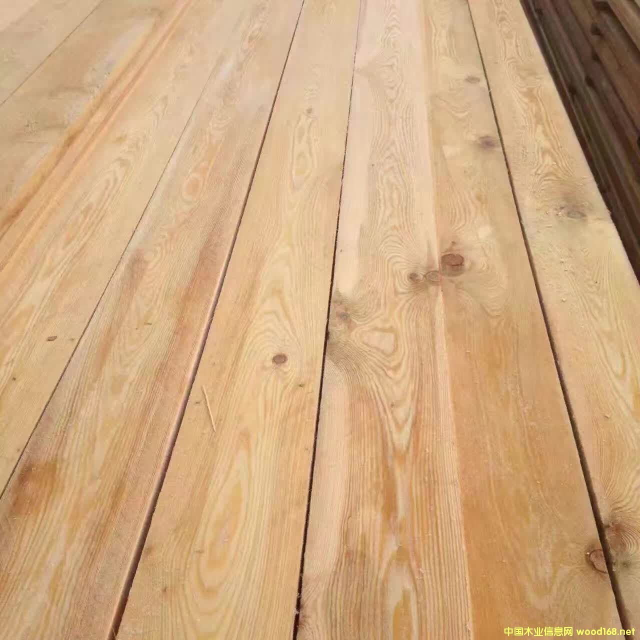 ���~�ɰ�ĵ�Ԕ����B