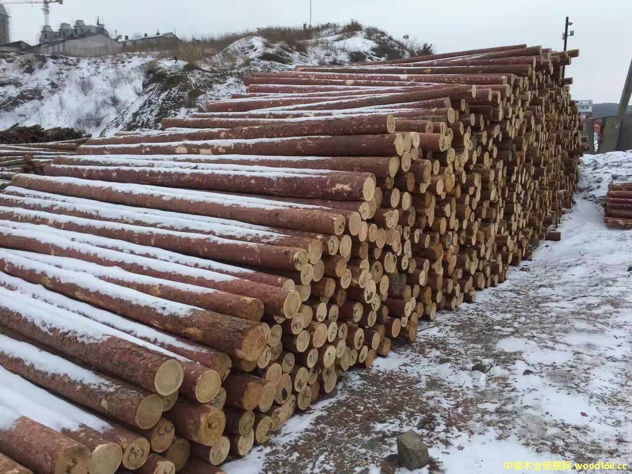 ���~�ɵ�Ԕ����B