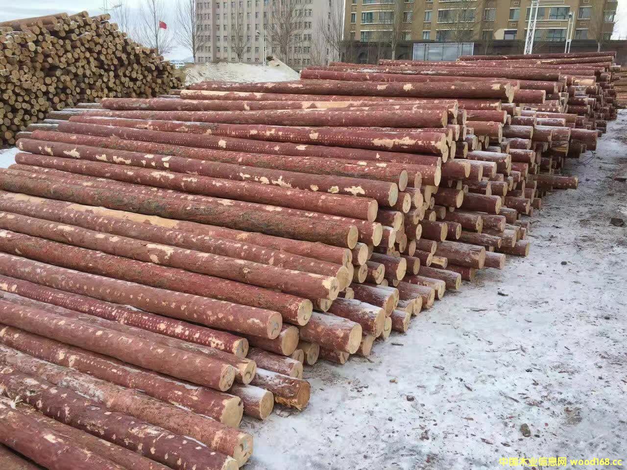 ���~�ɵ�Ԕ����B