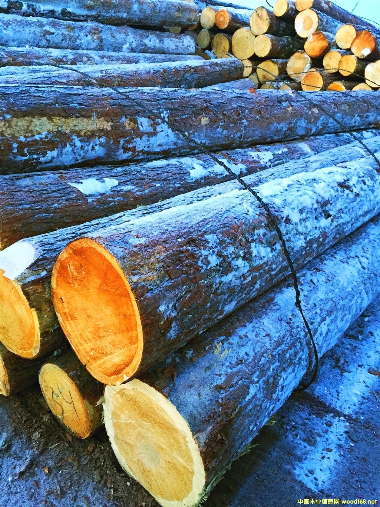 �t�� ԭľ6�צ�45