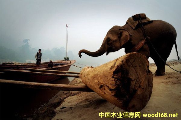 �|�ρ��tľ�M���y�ȶ�����һ���y����Ɲq�Ҿ�����