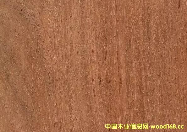 ľ�ĈD�V��Ĥ�|(zh��)�~�F�����������Kľ�������F��õ��ľ