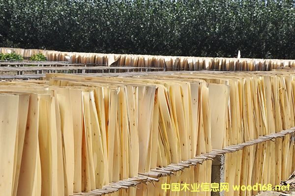 ��ƽ�����ľ�I-��ľƤ