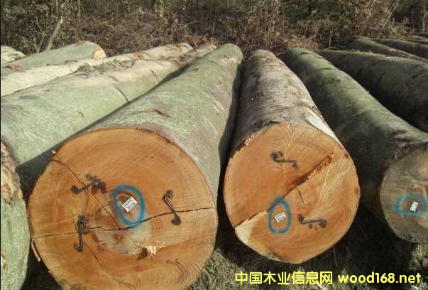 �W��ľ�ĺ��\�M�����������Ƿ�߀�и�����(y��u)�ݣ�