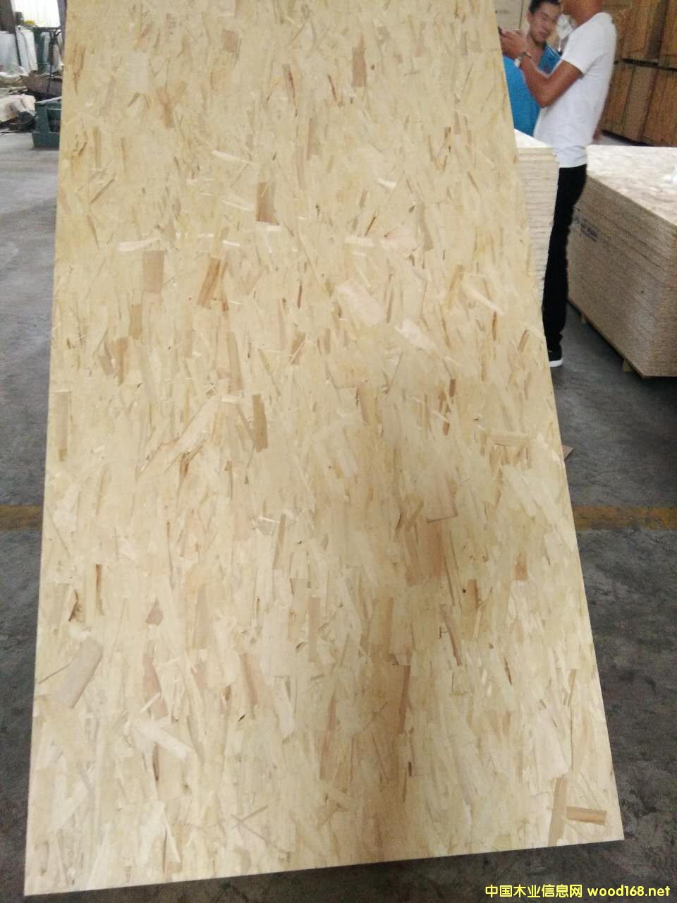 �����oȩ��(j��)�߶�OSB