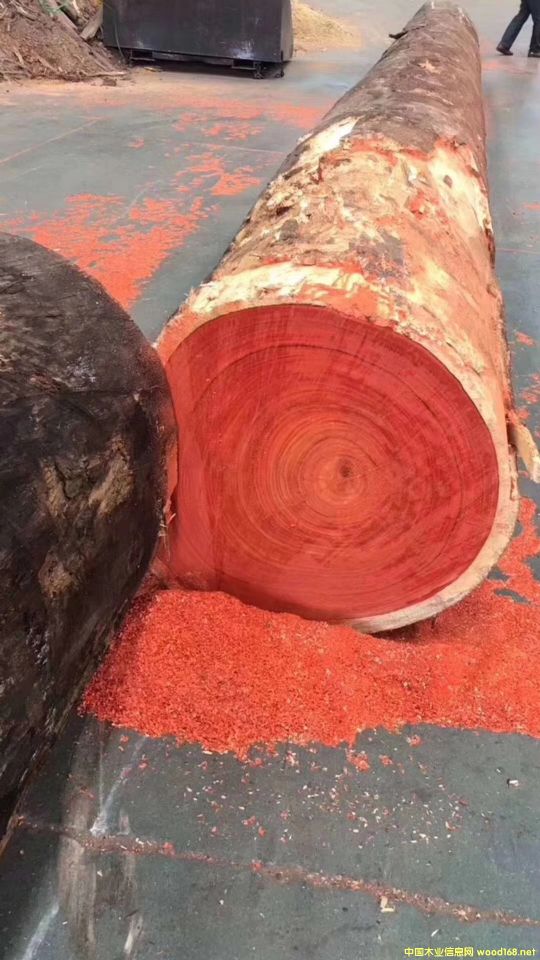 �t���棬������̴