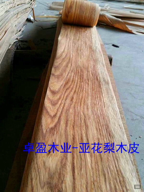 �����̴0.3MMľƤ