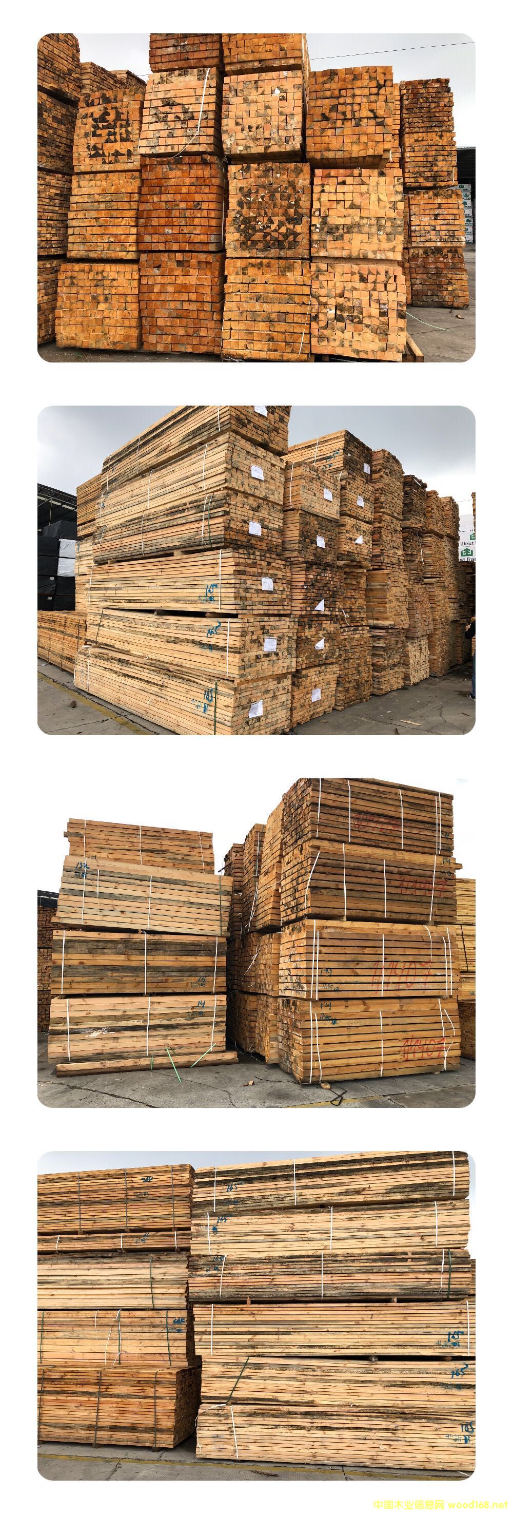 �����m-������