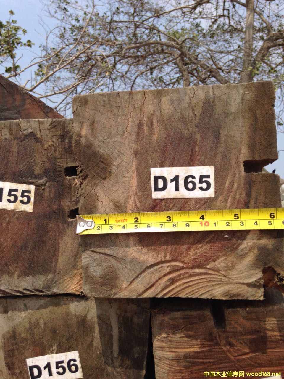 С���� ���ᶹ 