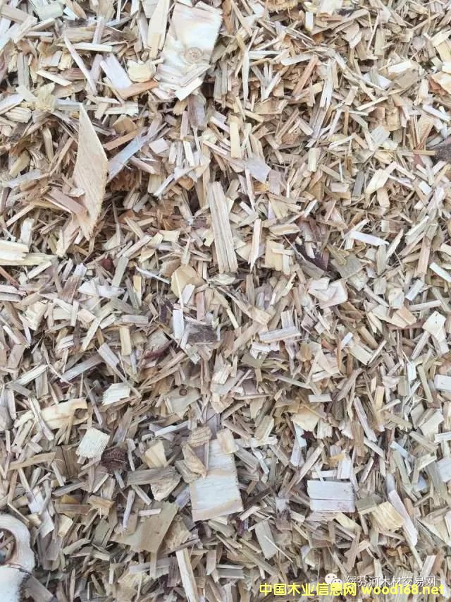 �c���鿴�羳��ُ�����_˹���~�����Іΰ�U��ľƬ��Ԕ���Y��