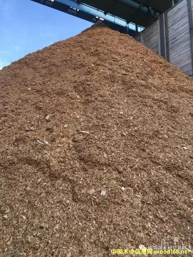 �c���鿴�羳��ُ�����_˹���~�����Іΰ�U��ľƬ��Ԕ���Y��