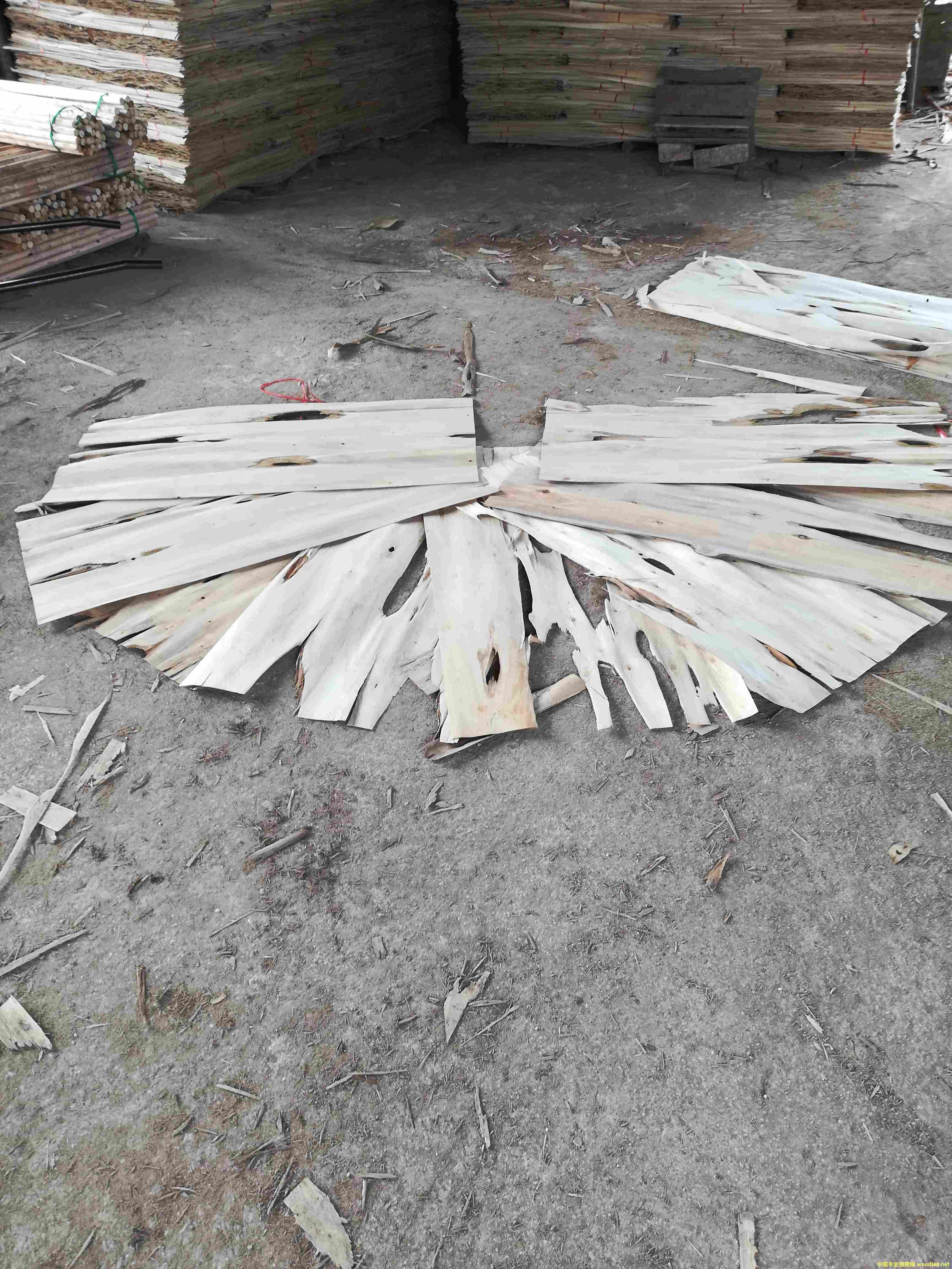 ��ľ�ΰ�Ƥ�Ӷ���(j��)��