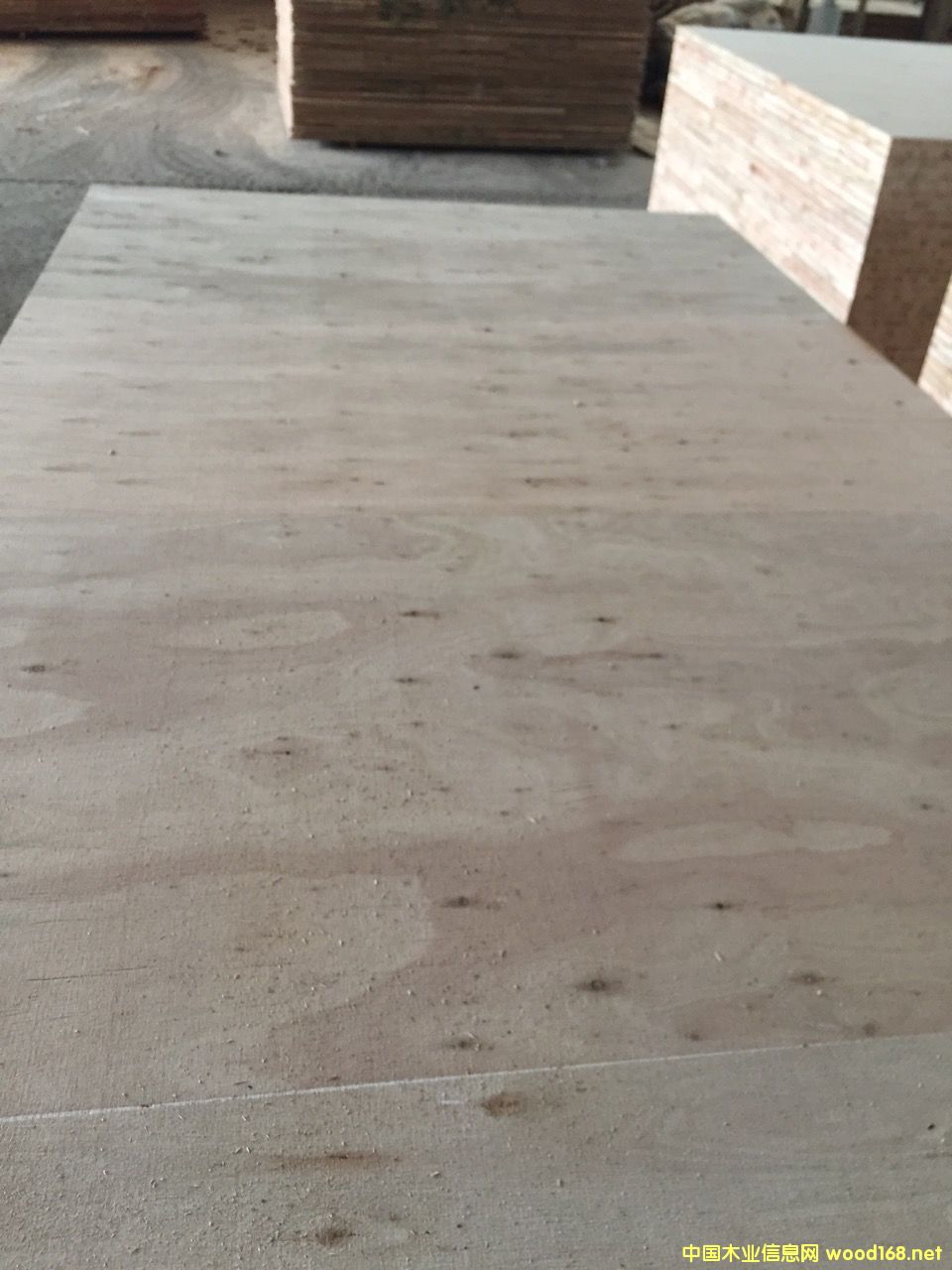 ��ľľо���Ԕ����B