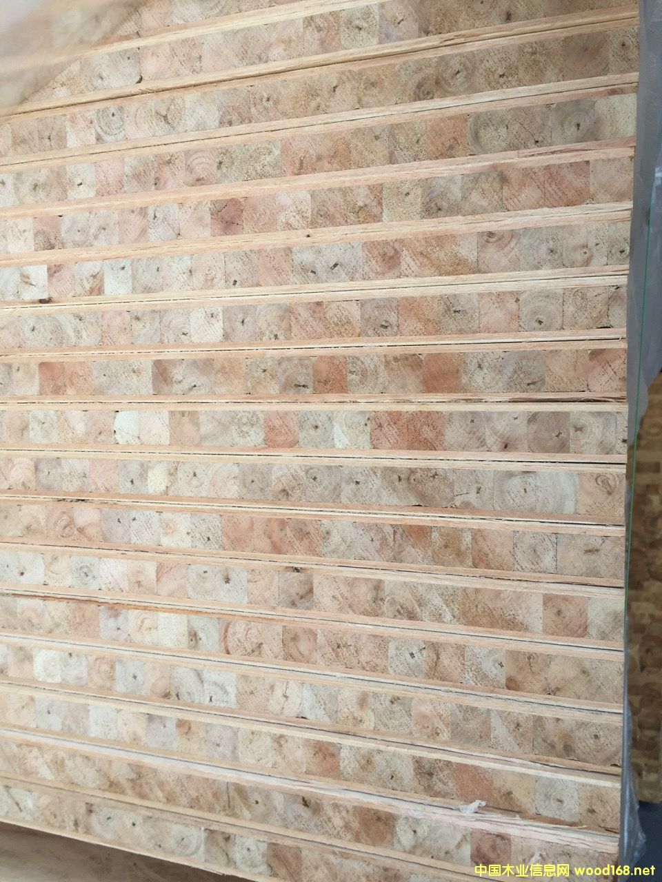 �T�װ���ľо��Ԕ����B