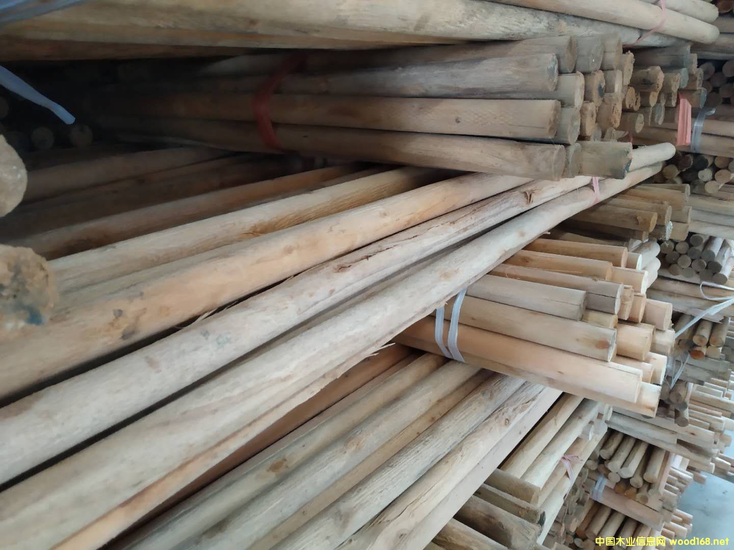 ��ľ�A��Aľ��