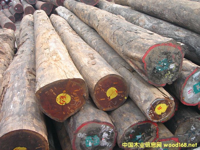 ����ԭľ����ľԭľ