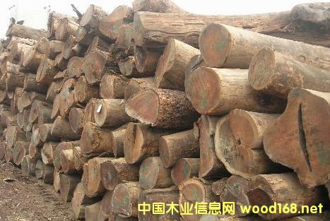 �����M�ڷ����u��ľԭľ