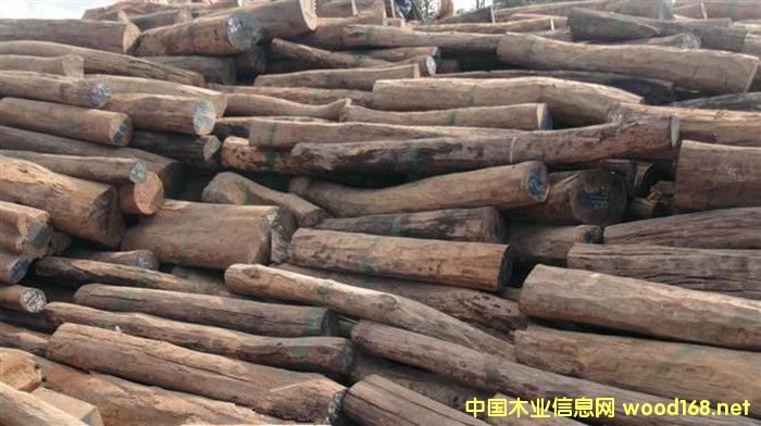 �����M�ڴ�t��֦ԭľ