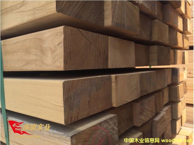 �̈́�ľ���l�S�� �̈́�ľ�����Xһ��