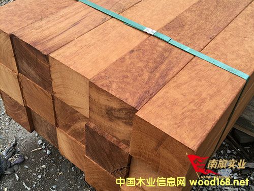 �Ϻ��̈́�ľ���l�Ј� �̈́�ľ�����Xһ��