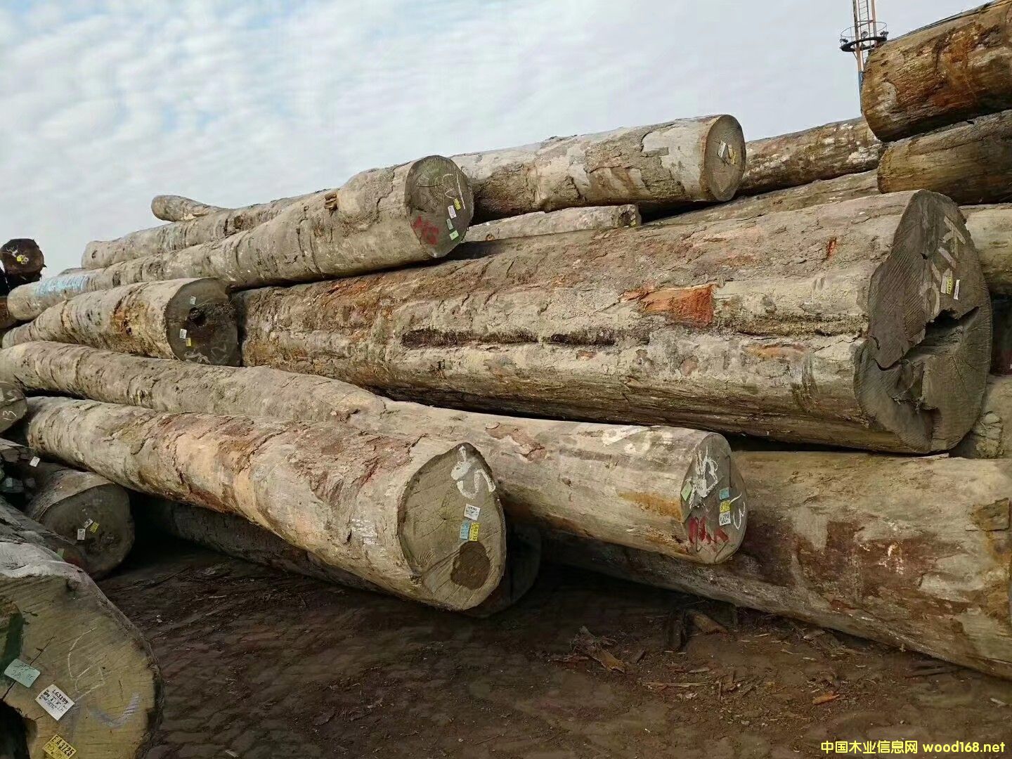 �R������