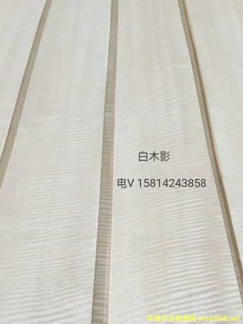 ���|��Ȼ��ľӰľƤ