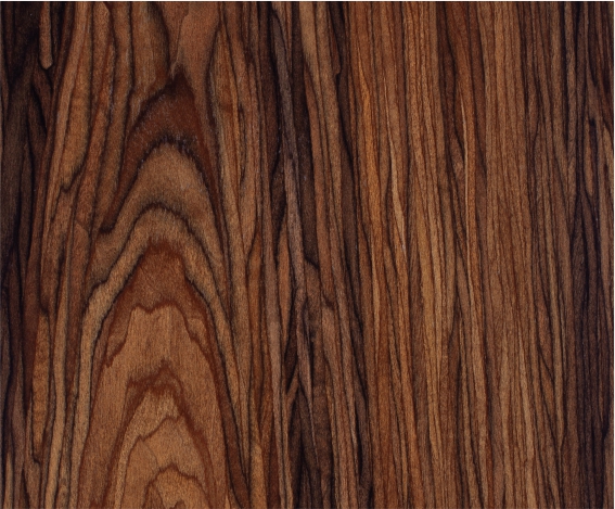 ������֦ľ����