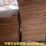 ��ľƤ�ӵ�Ԕ����B