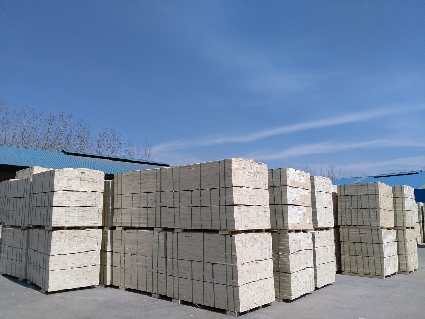 ��Ѭ��ľ����Ԕ����B