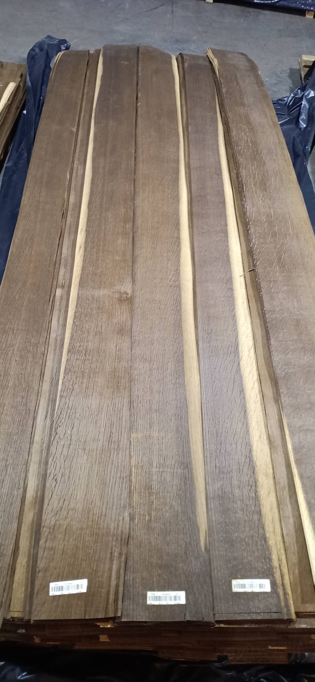 ��Ѭ��ľ��ɫ