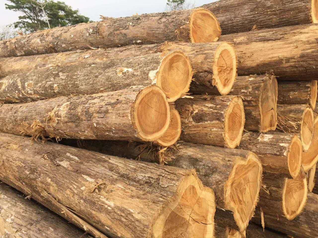 �c(di��n)���鿴������ľС��ľԭľ�Ŵ�DƬ