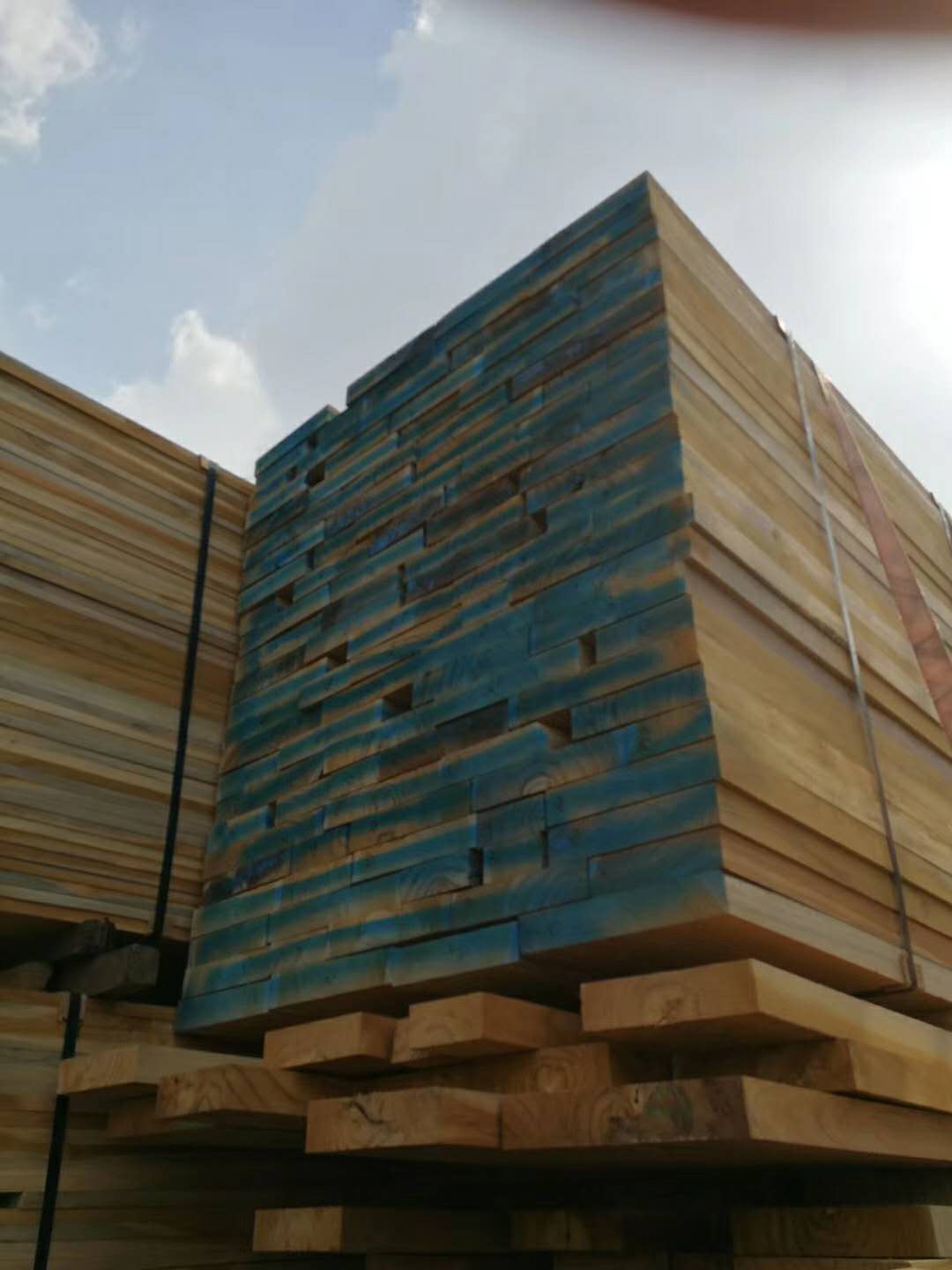 �c(di��n)���鿴������ľС��ľ��ķŴ�DƬ