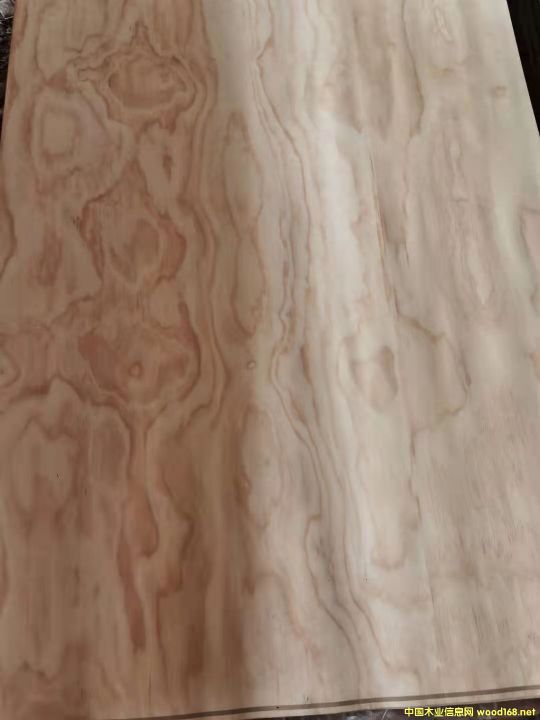  ݗ���ɵ�Ԕ��(x��)��B