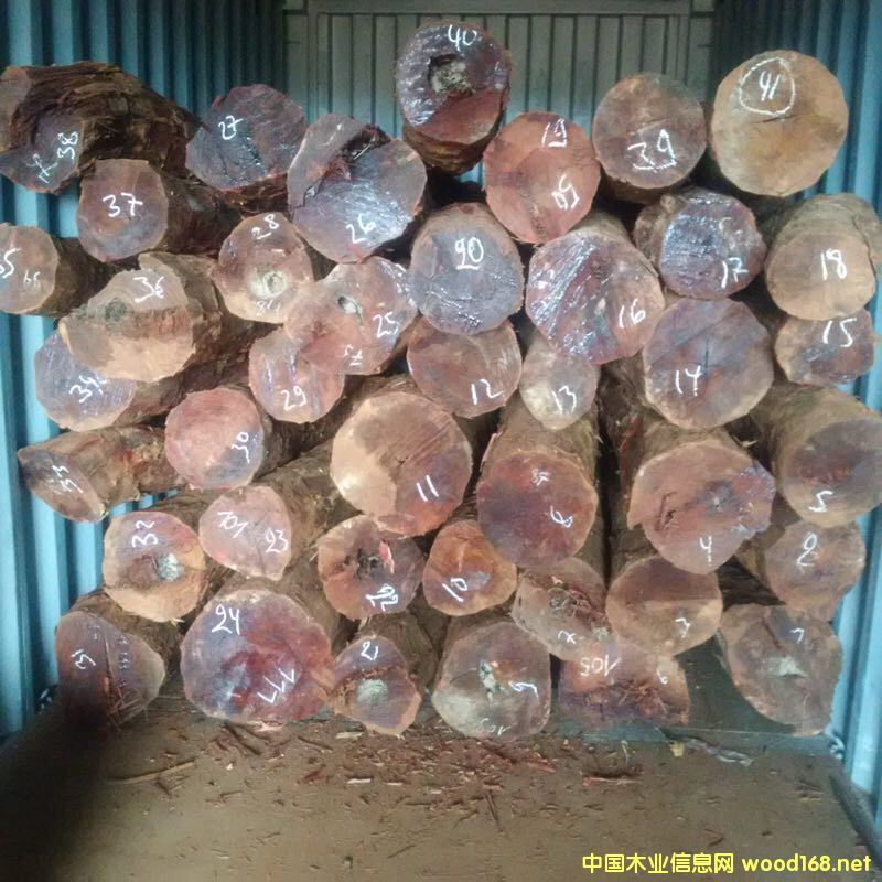 Ѫ̴1��Ԕ����B