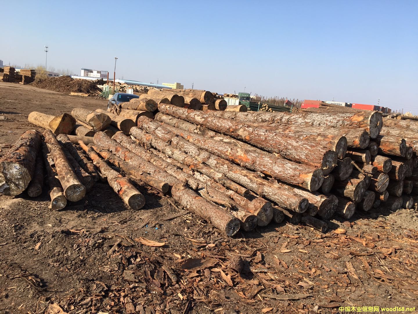 �������ձ���ԭľ��Ԕ��(x��)��B