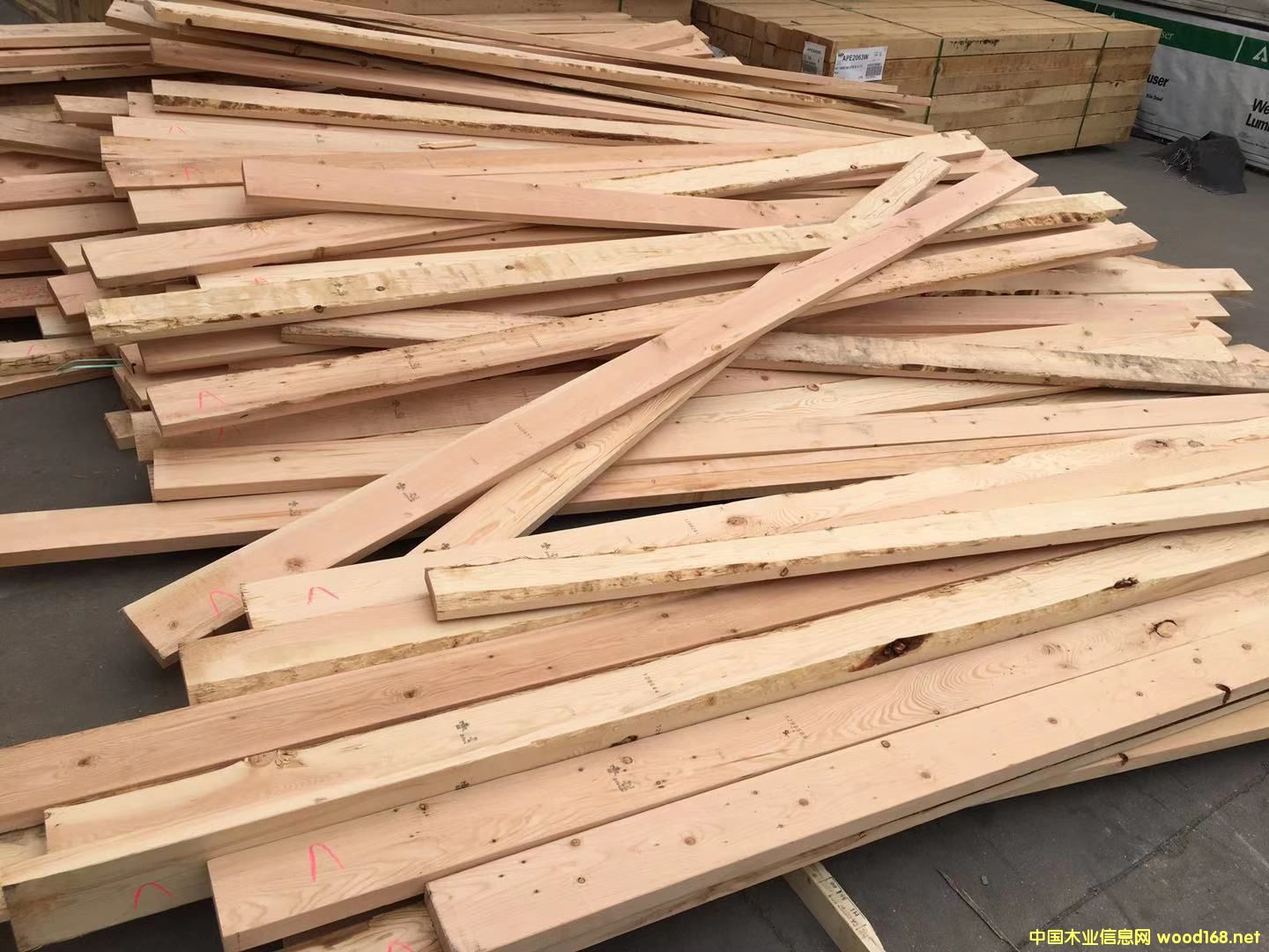 �Fɼ�������(j��)2*6��Ԕ��(x��)��B