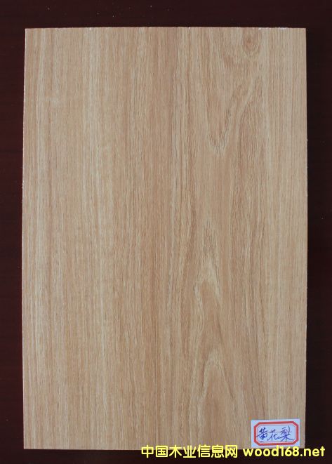 ���B��-�S����