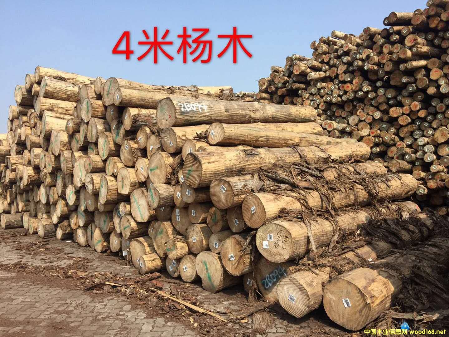 [��] �M�ڗ�ľ