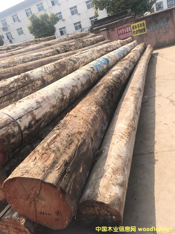 [��] ��������ľ