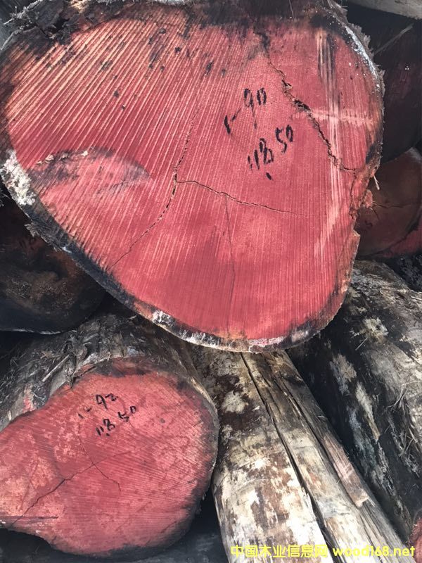 [��] ��������ľ