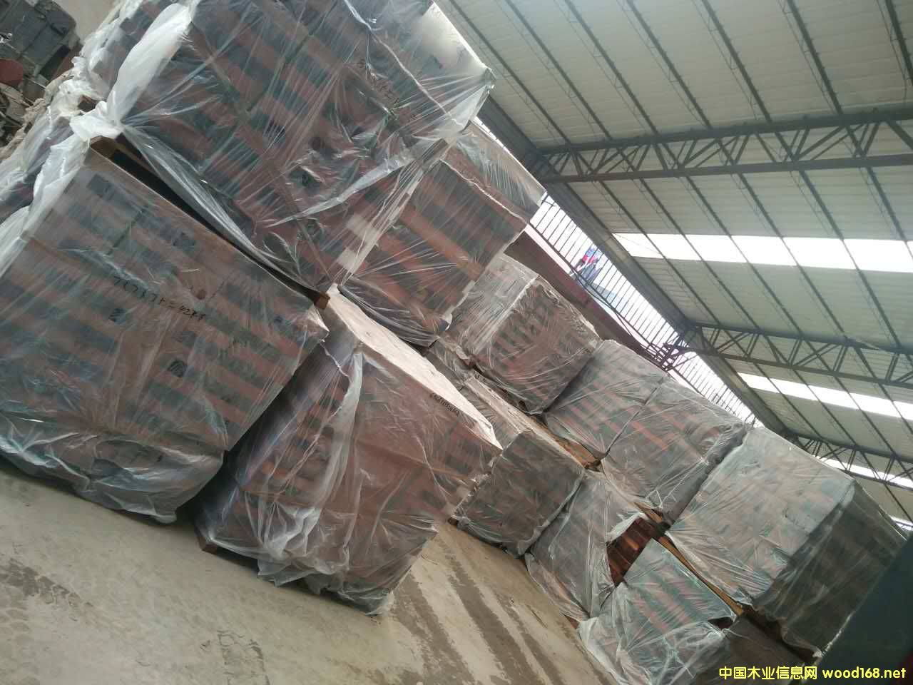 ɳ����������