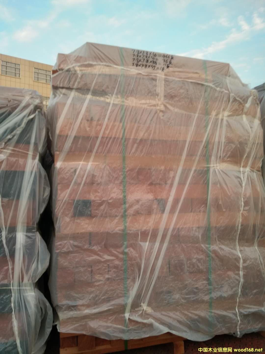 ɳ����������