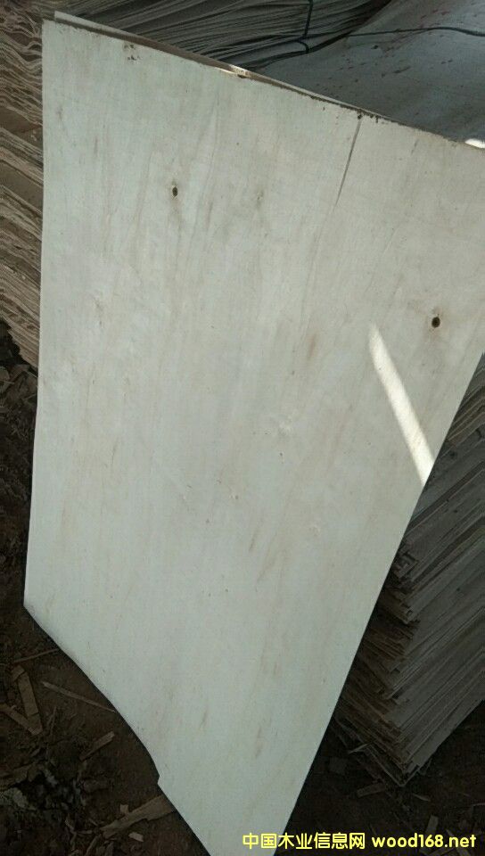  ���Kʡ�������S�h�Z��ľ�I���L�ڹ�����ľƤ��